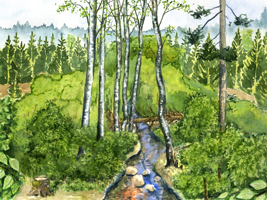 Kalvs FVOF jobbar för bra fiske och mot brunifieringen av sjöar